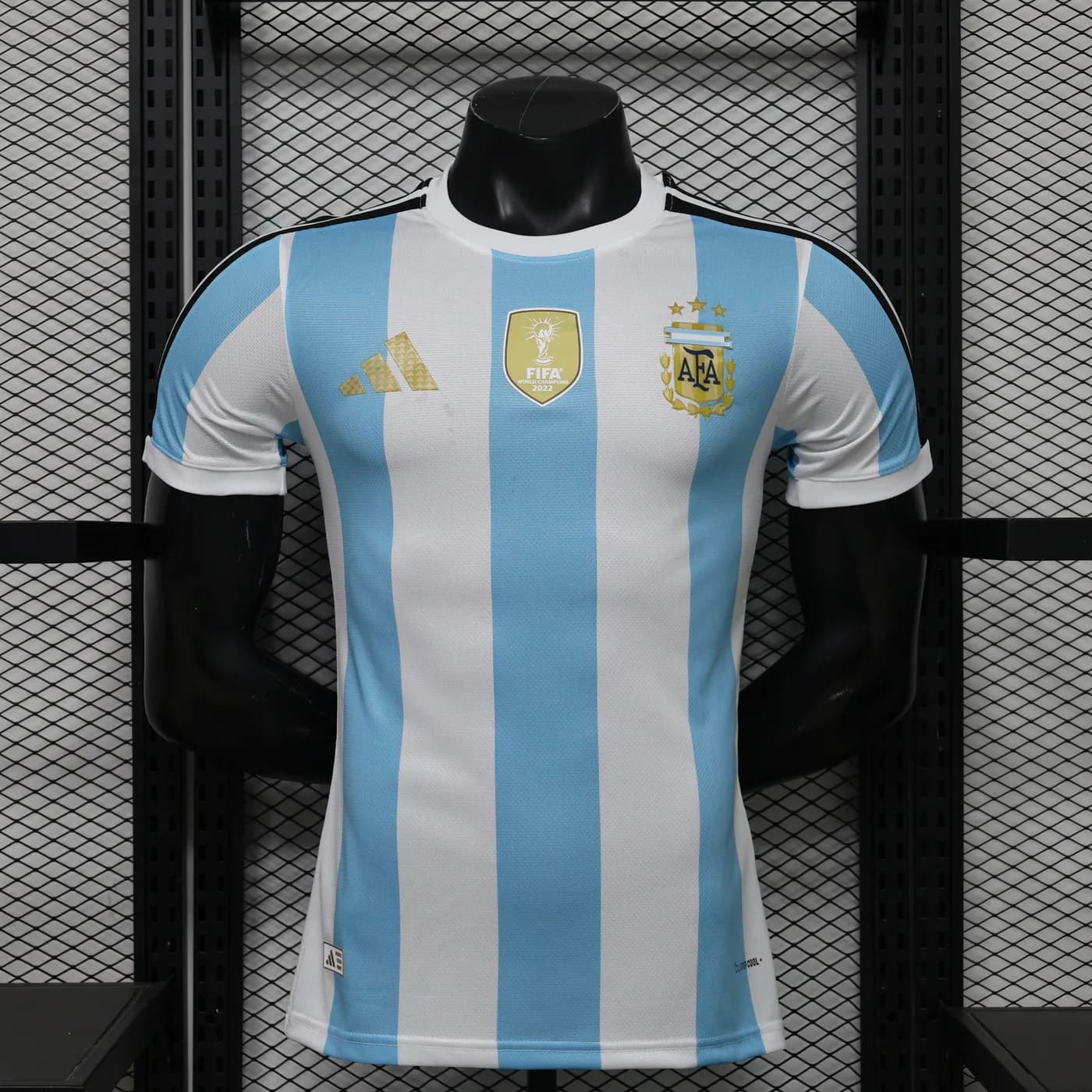 Maillot Argentine concept 2026 #3